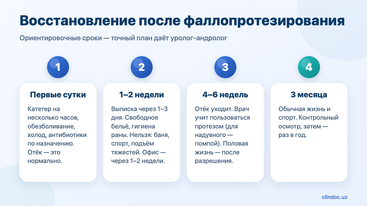 Восстановление после фаллопротезирования по срокам