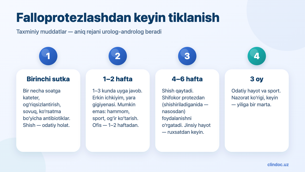 Falloprotezlashdan keyin muddatlar bo‘yicha tiklanish