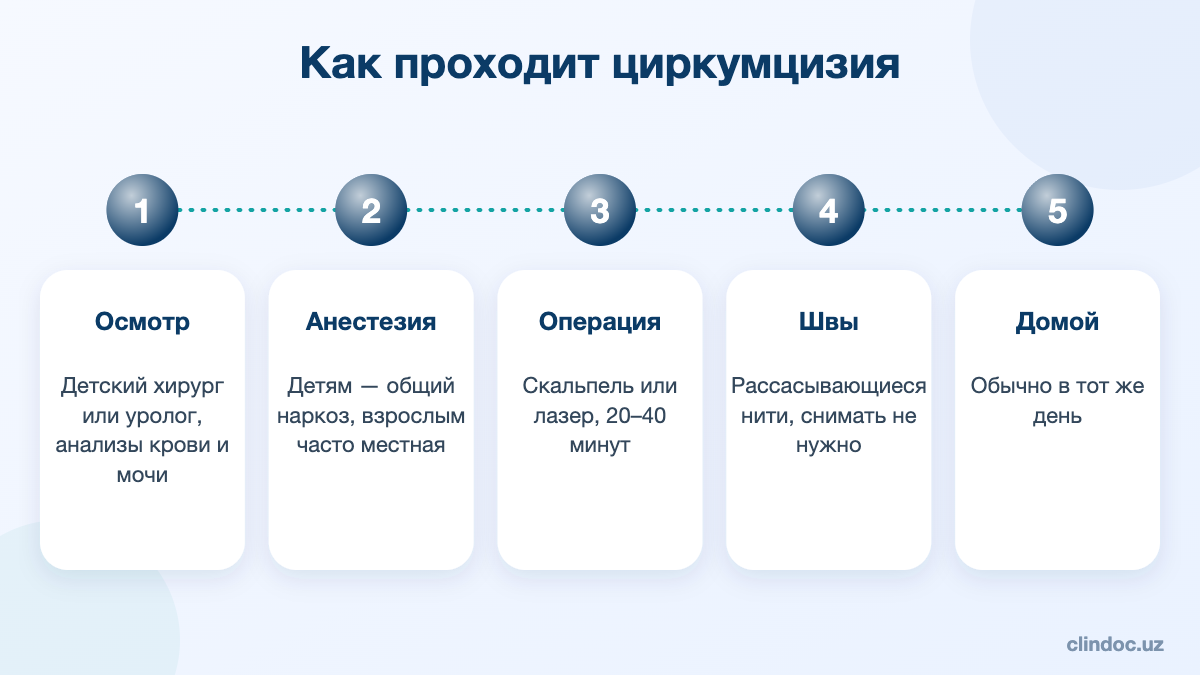 Как проходит циркумцизия: осмотр, анестезия, операция, швы, выписка