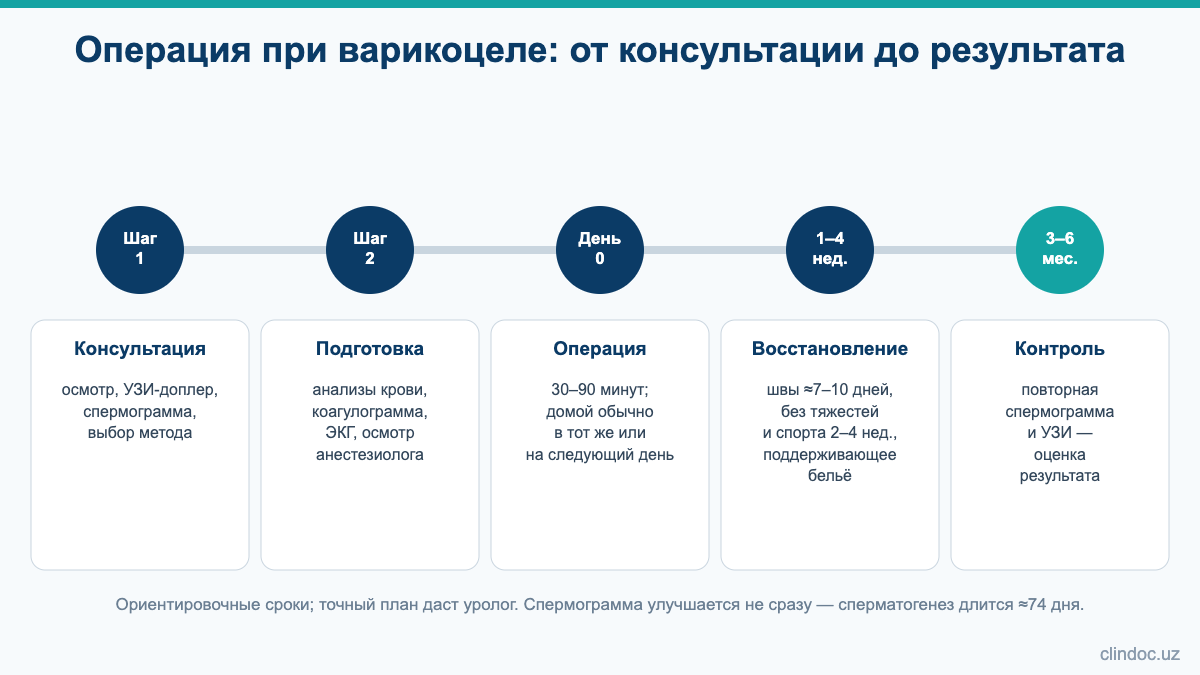 Операция при варикоцеле: этапы от консультации до контроля спермограммы через 3–6 месяцев