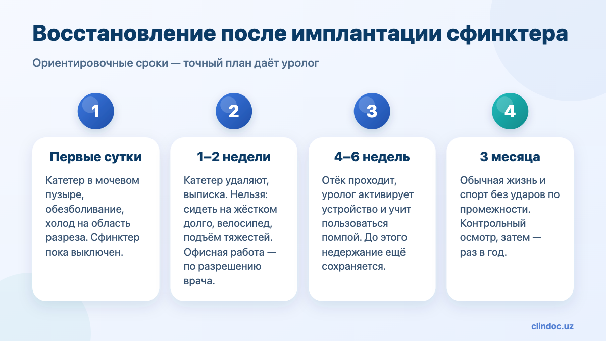 Восстановление после имплантации искусственного мочевого сфинктера по срокам