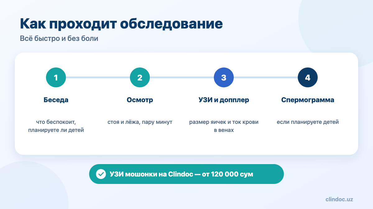 Обследование при варикоцеле: УЗИ, допплер, спермограмма