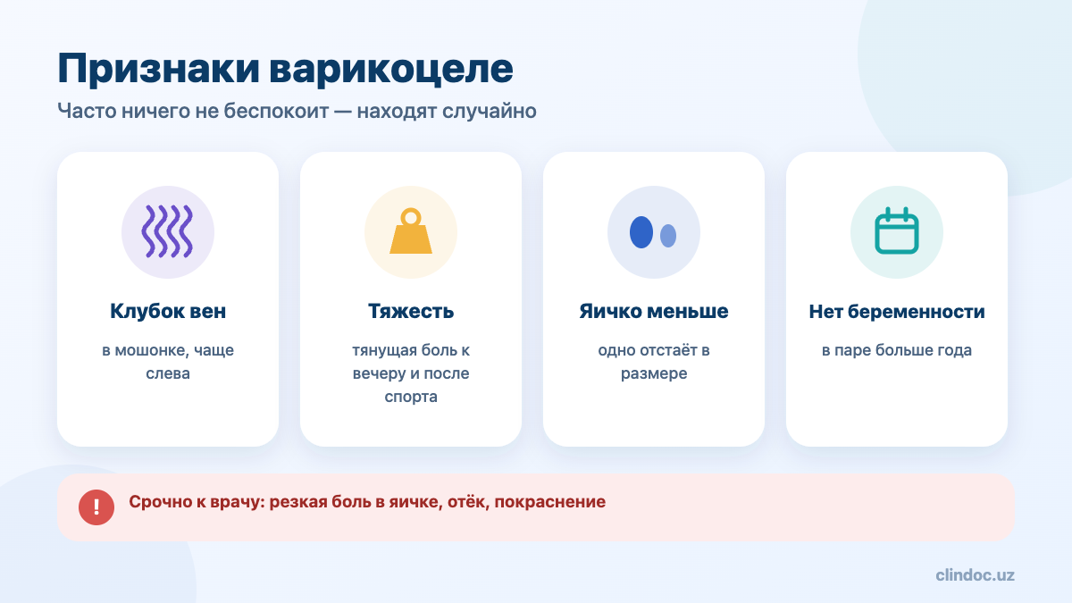 Признаки варикоцеле
