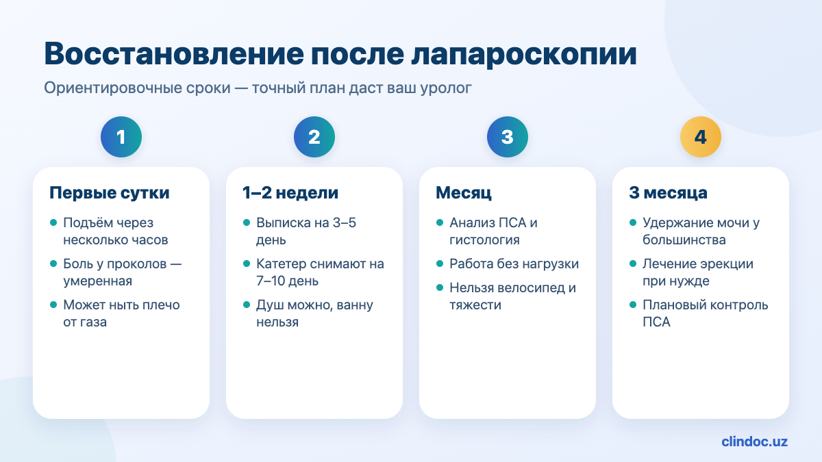 Восстановление после лапароскопической простатэктомии по дням и неделям