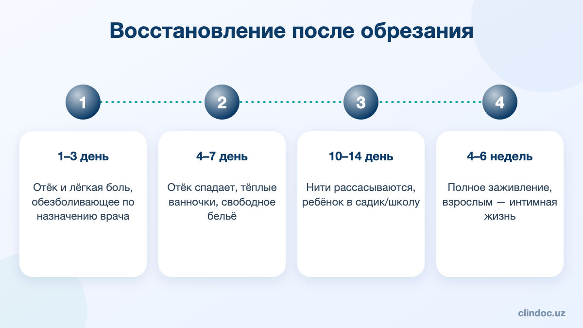 Восстановление после обрезания по дням и неделям